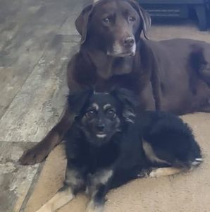 Meet your Posher, Cheryl